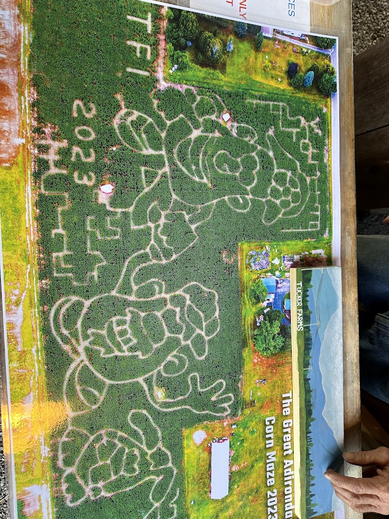 Corn Maze in Gabriels, New York Fright Night