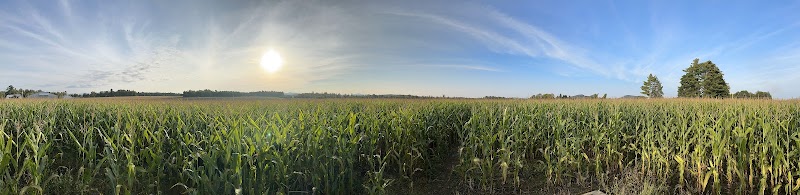 Corn Maze in Gabriels, New York Fright Night