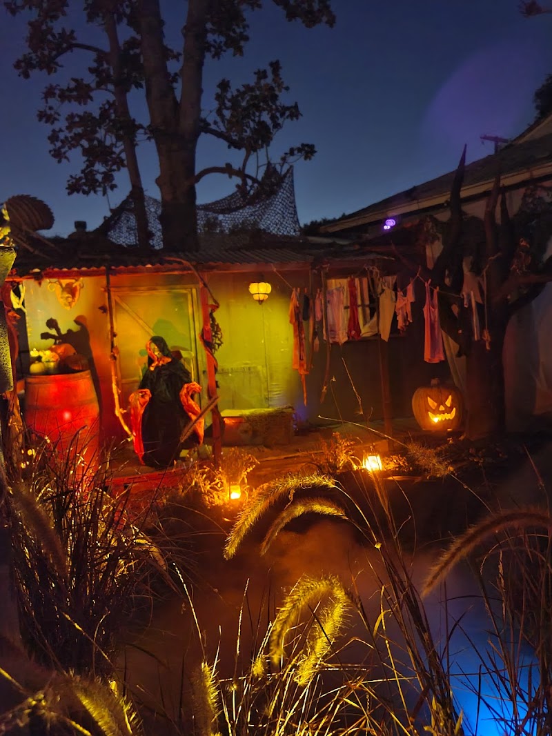 Spooky Hollows