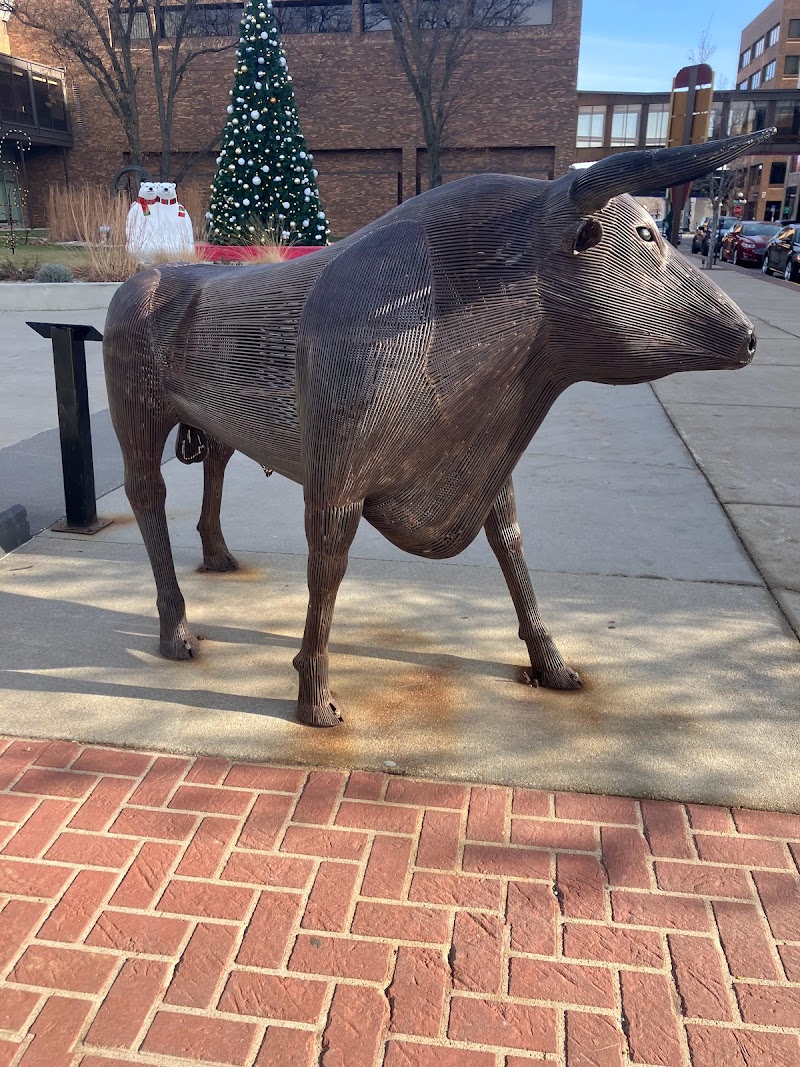 Sioux City, IA | FAQs