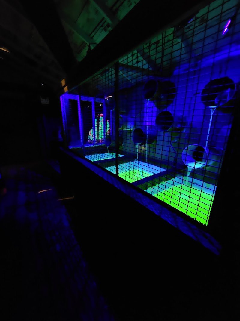 The Deranged Haunted Attraction