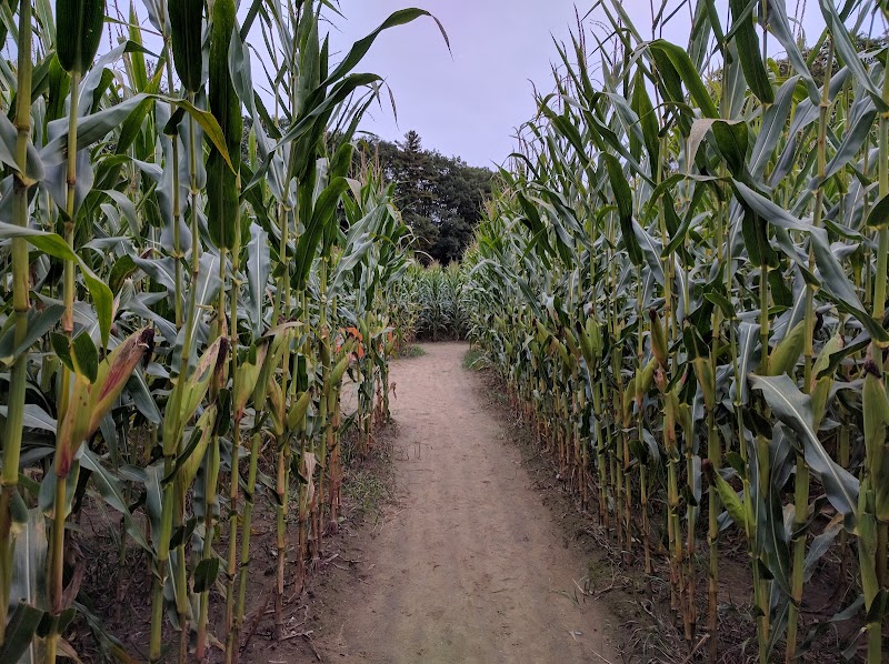 Hicks Family Farm Haunted Weekends - Massachusetts ...
