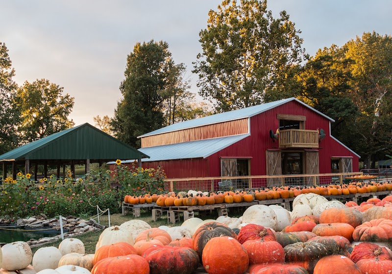 Pumpkin Hollow