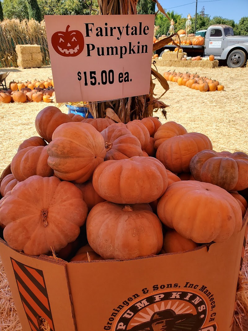 Pumpkin Patch in Fresno, California Pumpkin King ...