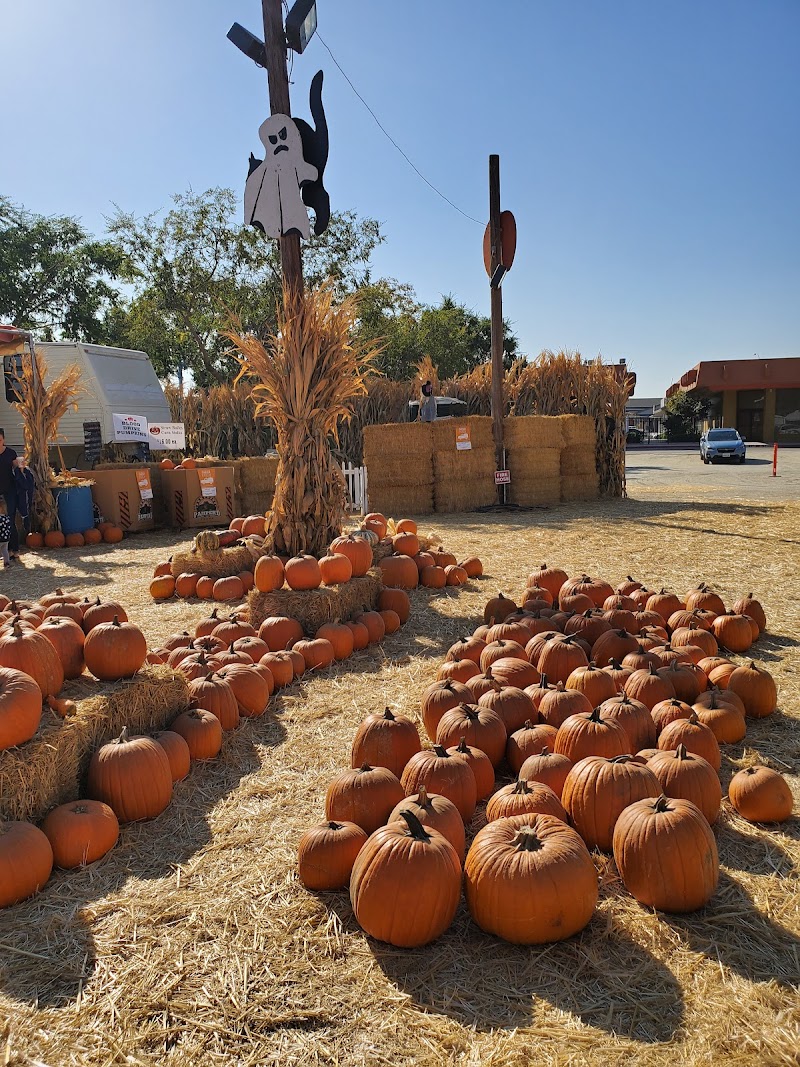 Pumpkin Patch in Fresno, California Pumpkin King ...