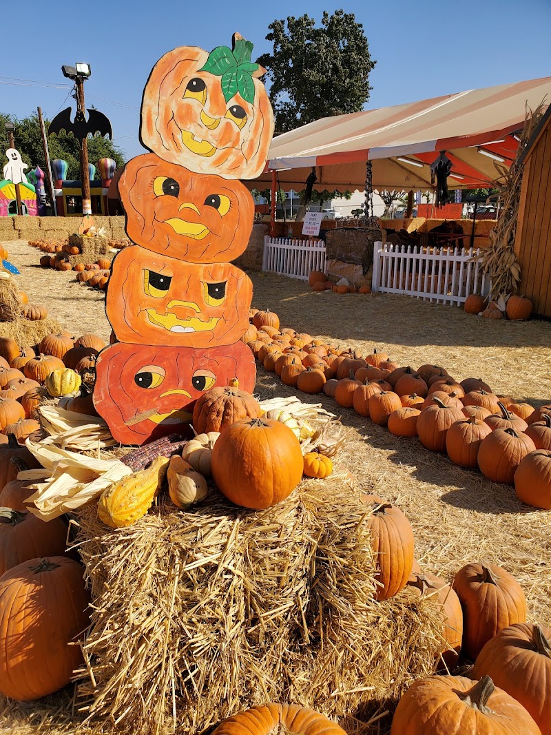 Pumpkin Patch in Fresno, California Pumpkin King ...