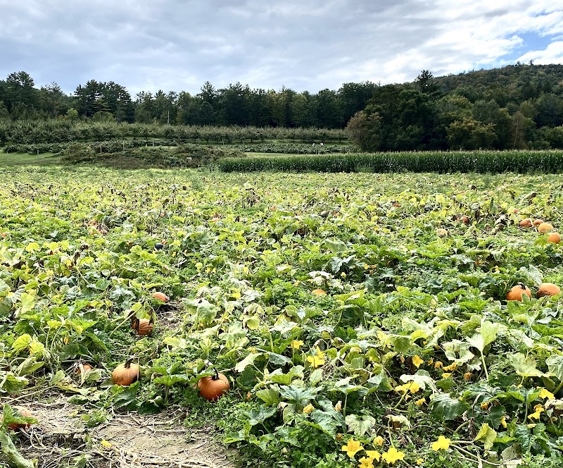 Haunted Corn Maze at Riverview Farm - New Hampshire ...
