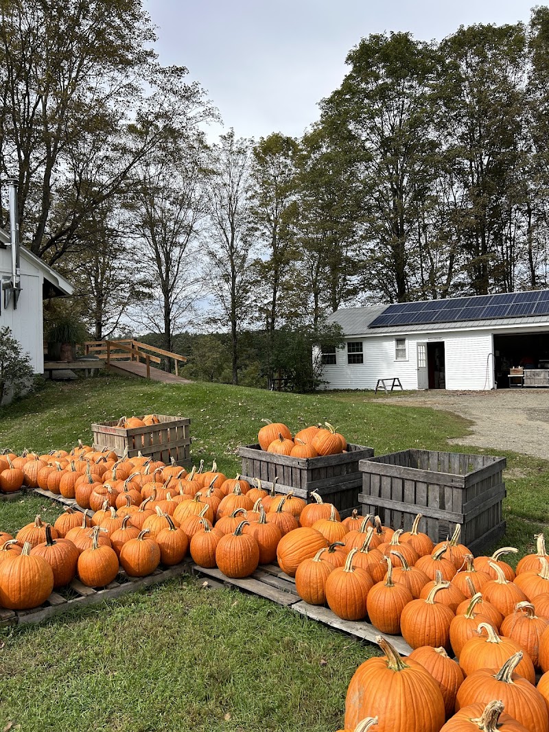 Haunted Corn Maze at Riverview Farm - New Hampshire ...