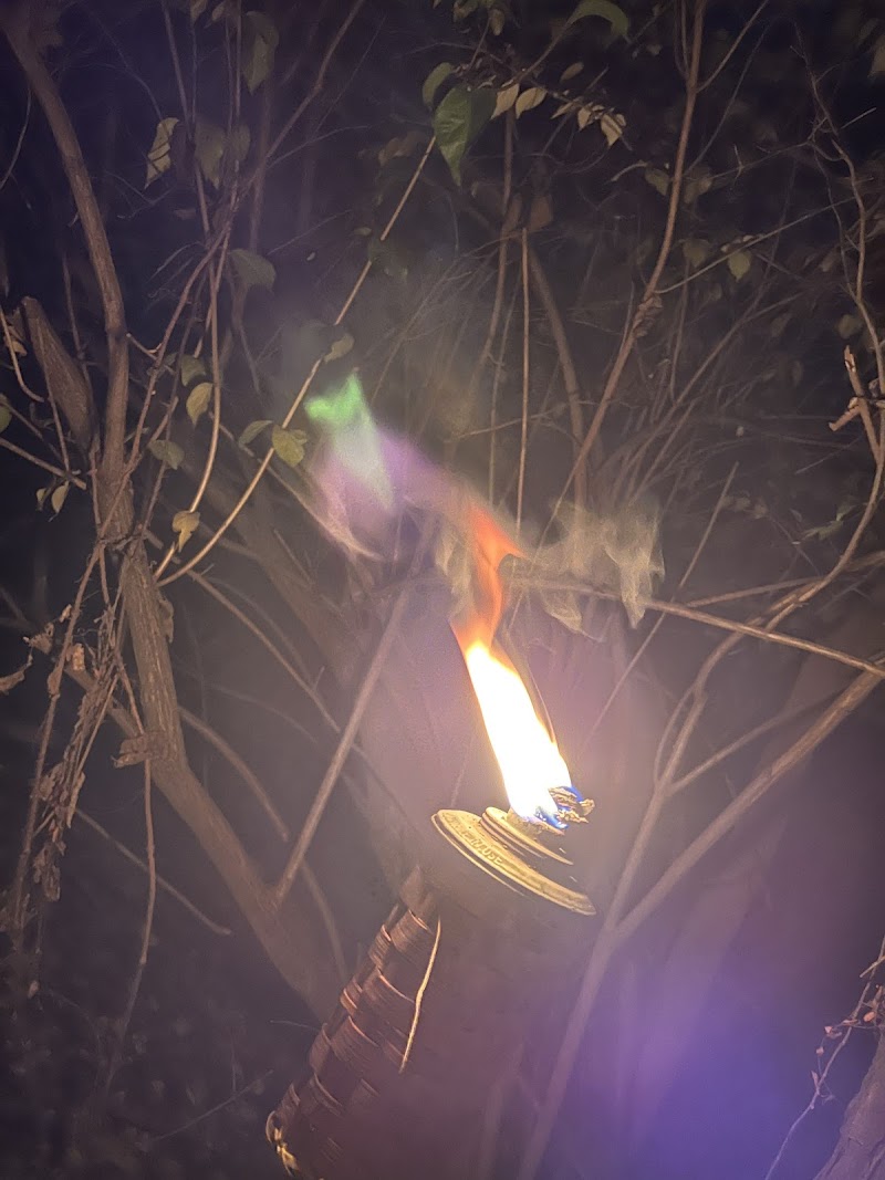 Haunted Woods IA