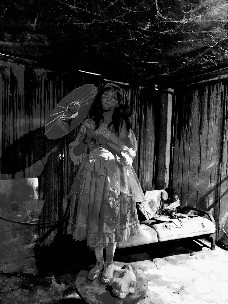 Phobia Kemah