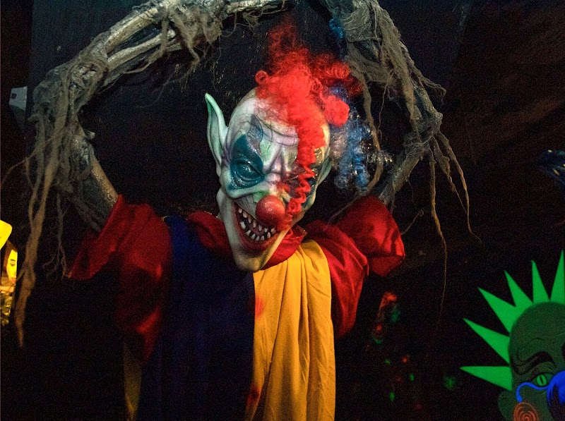 Phobia Kemah