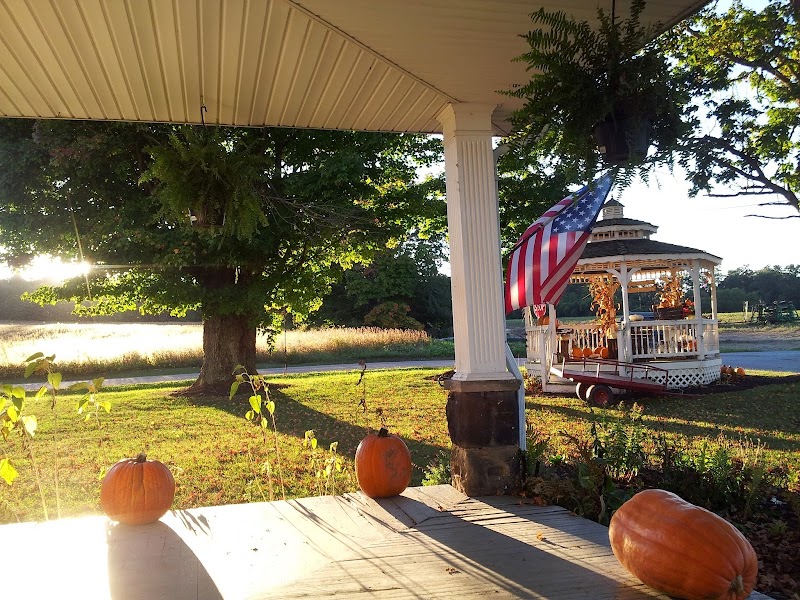 Pumpkin Head Pumpkin Patch