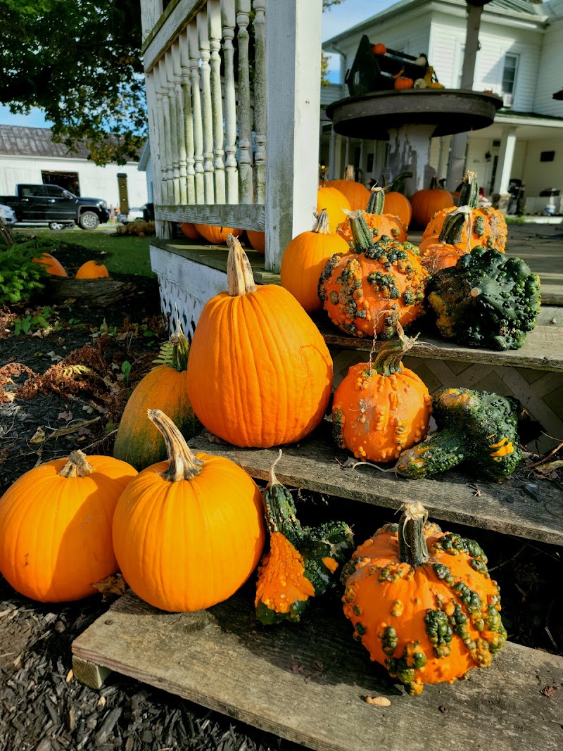 Pumpkin Head Pumpkin Patch