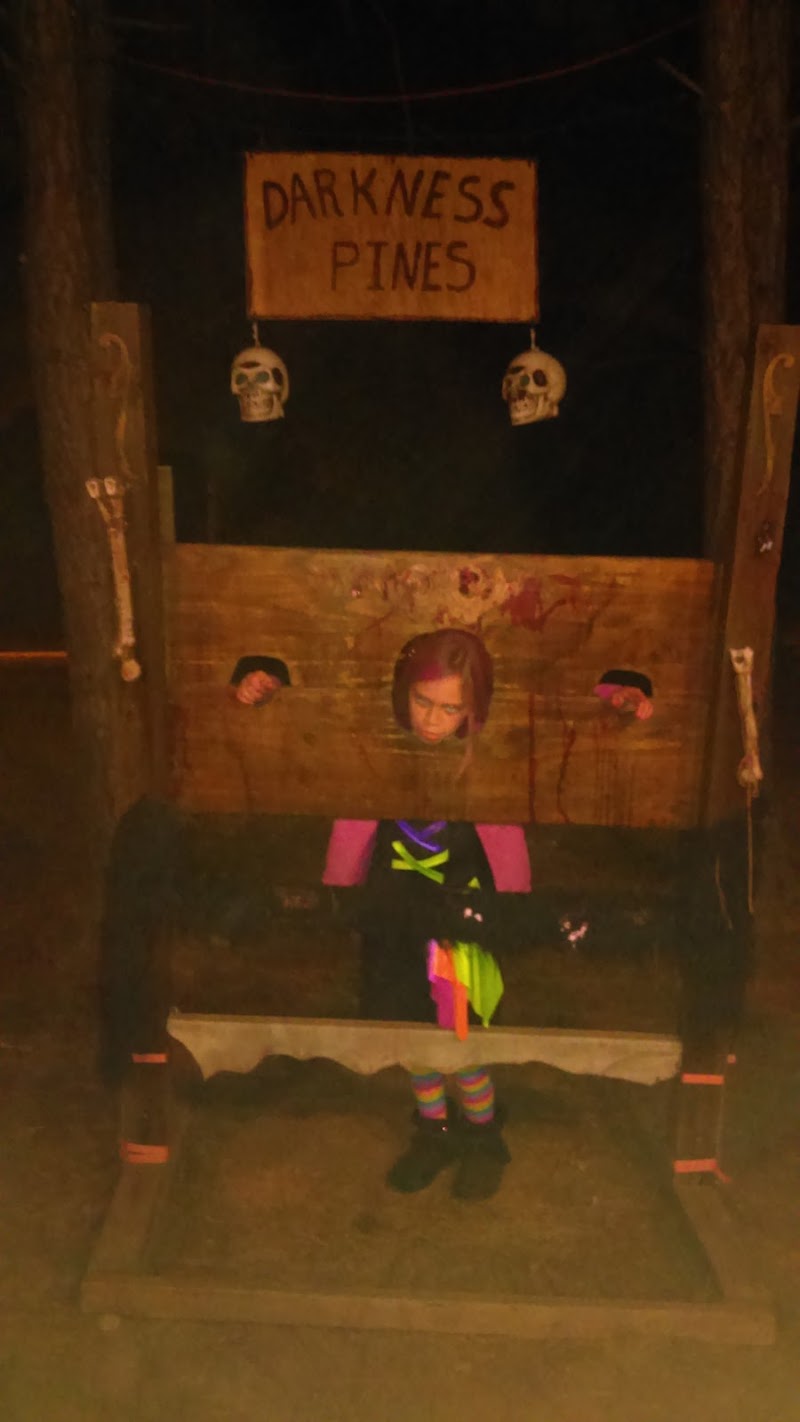 Darkness Pines