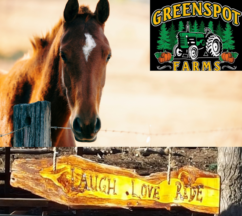 Haunted Hayride and Trail at Greenspot Farms