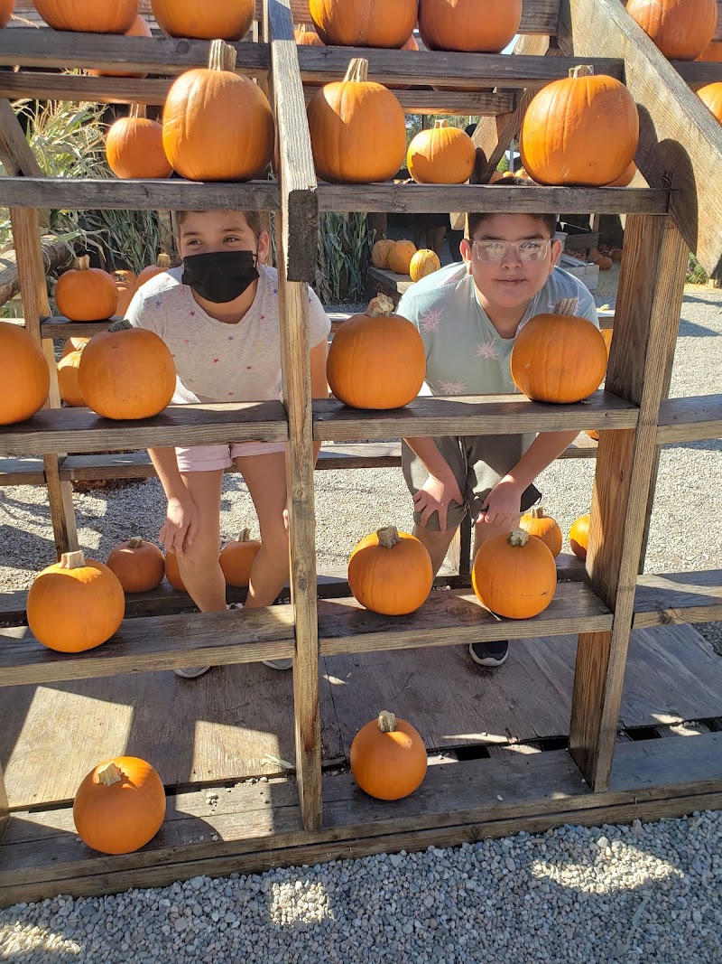 Haunted Hayride and Trail at Greenspot Farms