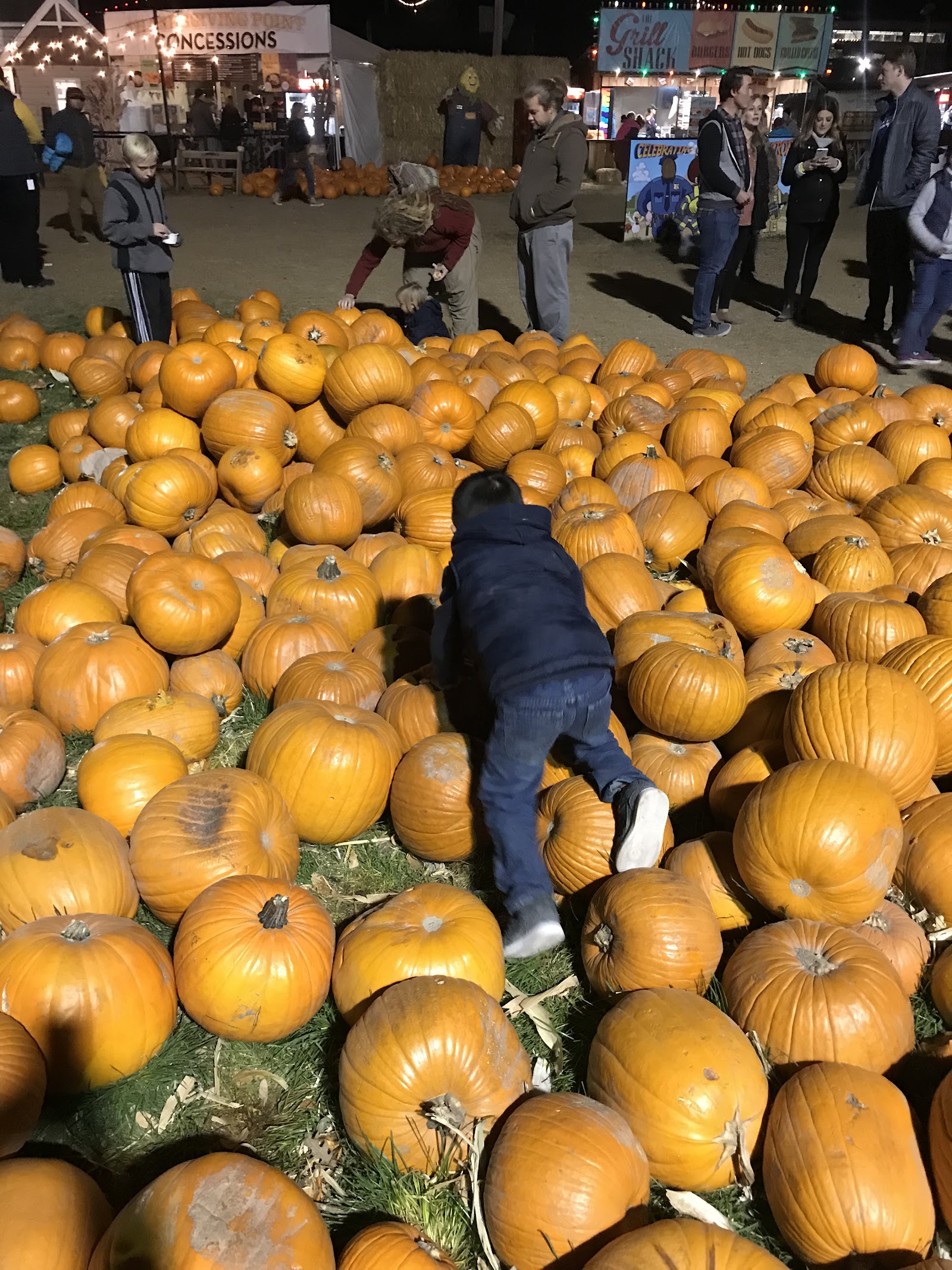 Corn Maze and Pumpkin Patch in Lehi, Utah Cornbelly's ...