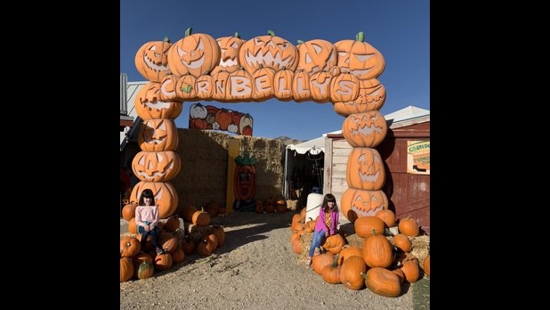 Corn Maze and Pumpkin Patch in Lehi, Utah Cornbelly's ...
