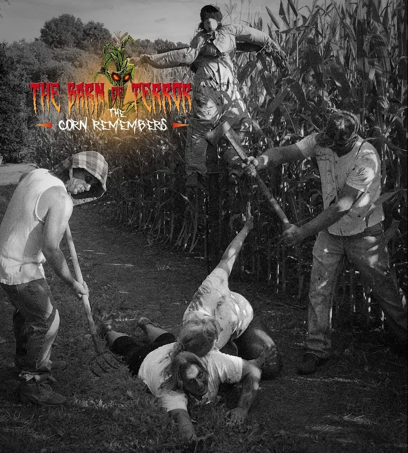 The Barn Of