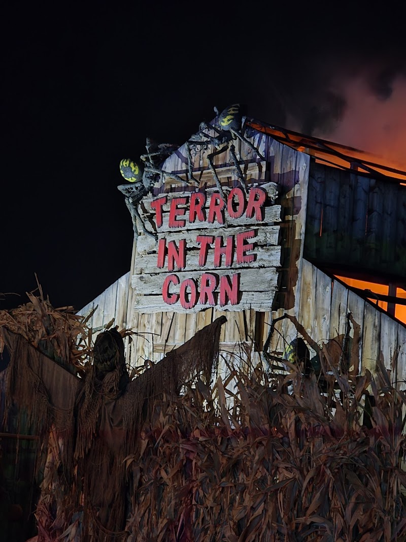 Terror In The