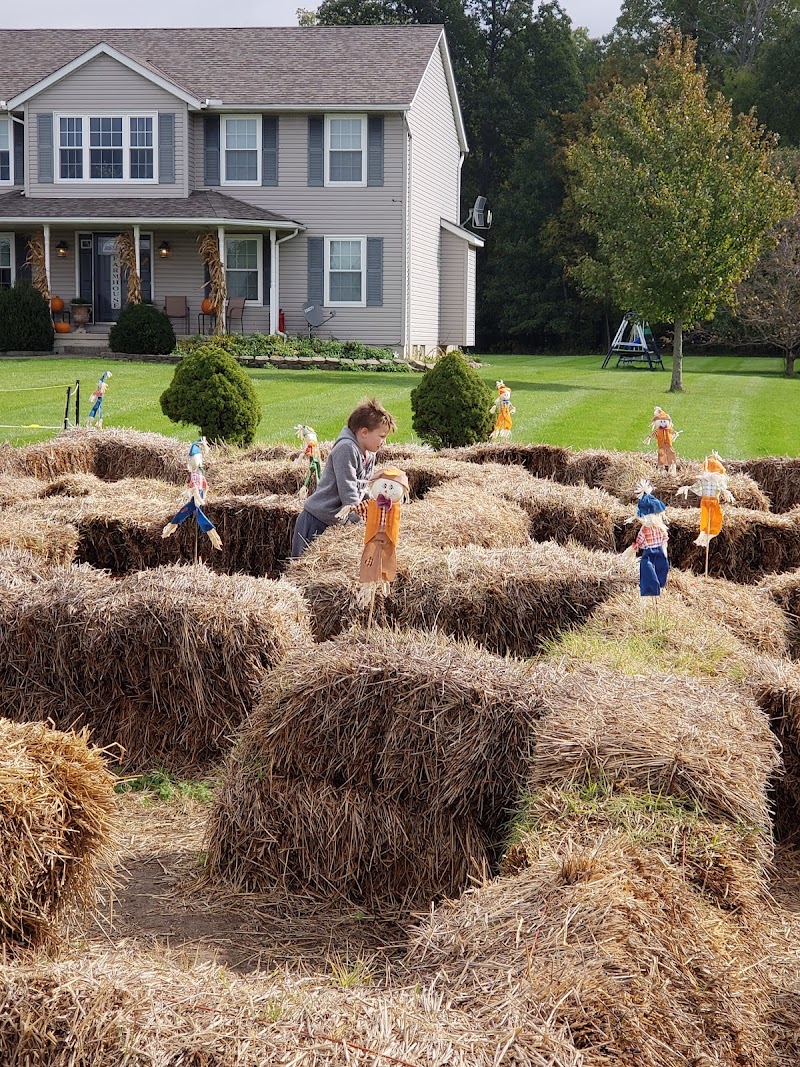 Corn Mazes Directory And Halloween Attractions