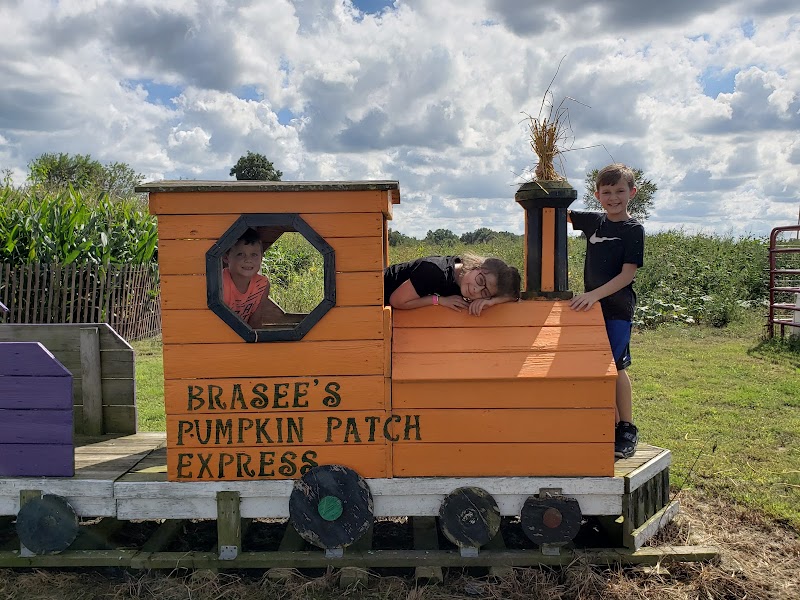 Corn Mazes Directory And Halloween Attractions