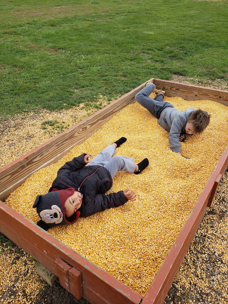 Corn Mazes Directory And Halloween Attractions