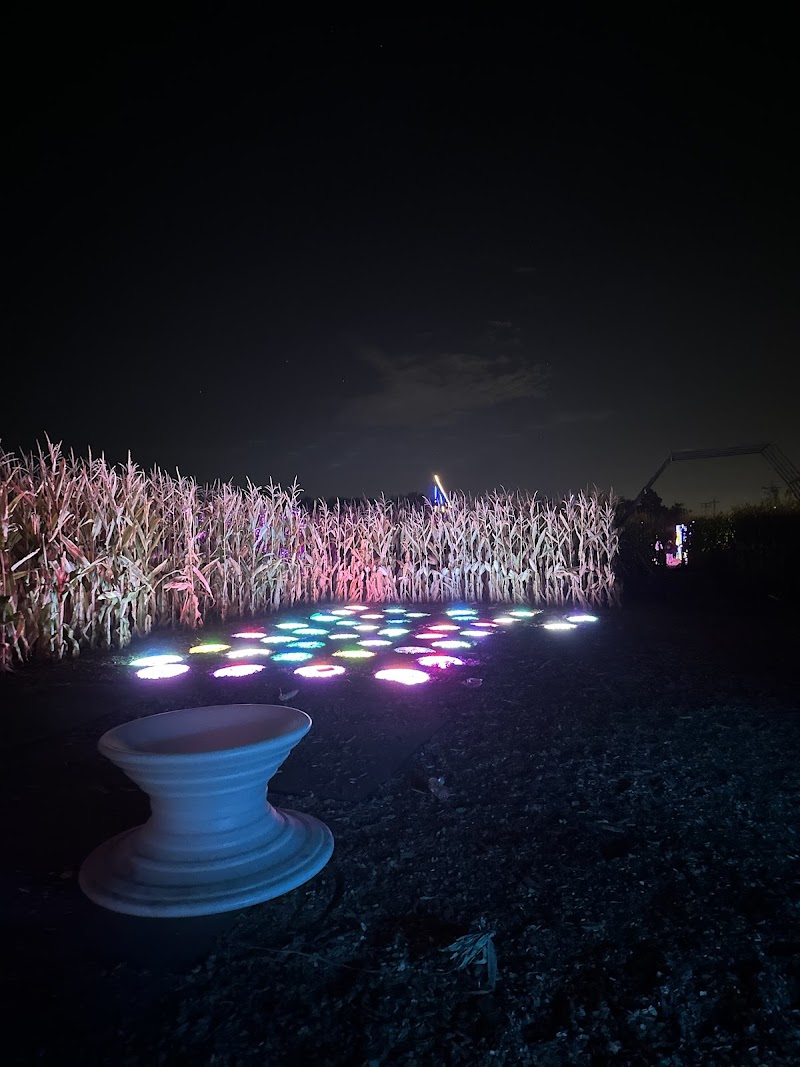Night Stalkers Haunted Trail