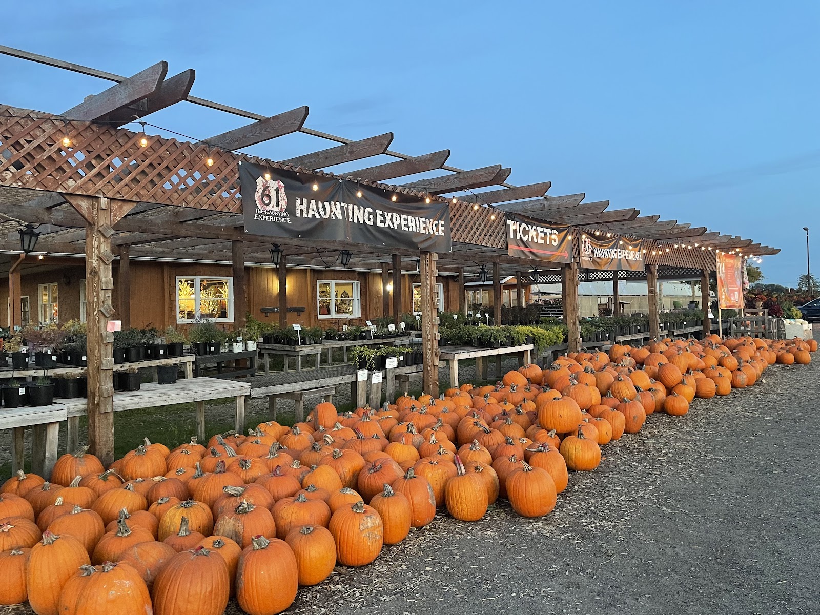 The Haunting Experience on Highway 61