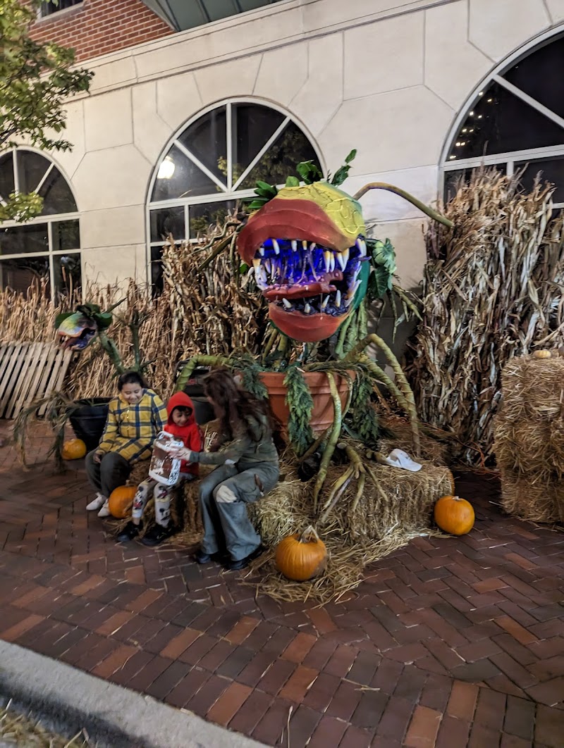 Nightmare on Leamington