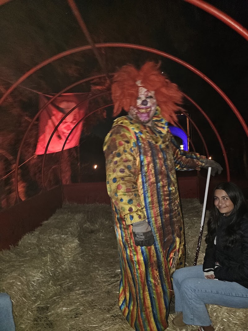 C Casola Farms Haunted Attractions - New Jersey ...