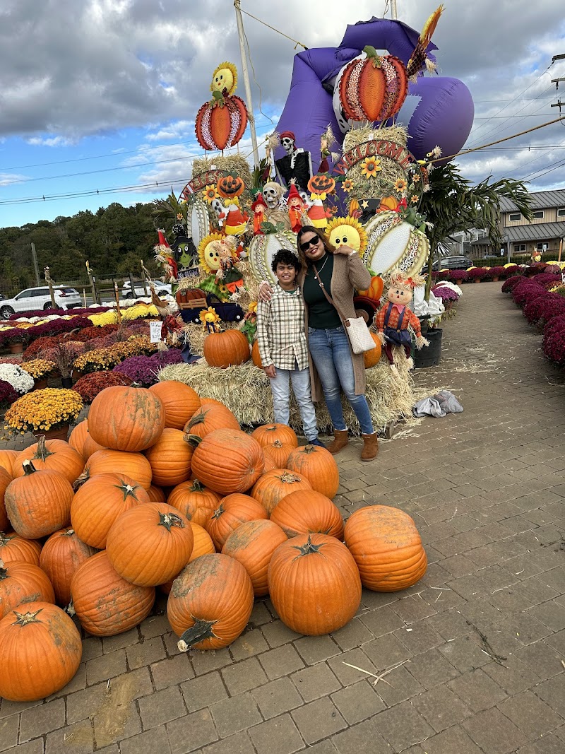 C Casola Farms Haunted Attractions - New Jersey ...