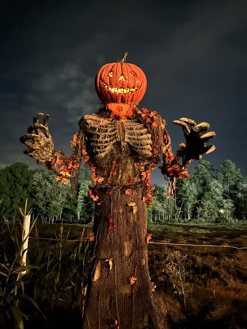 Dead Whispers Haunt