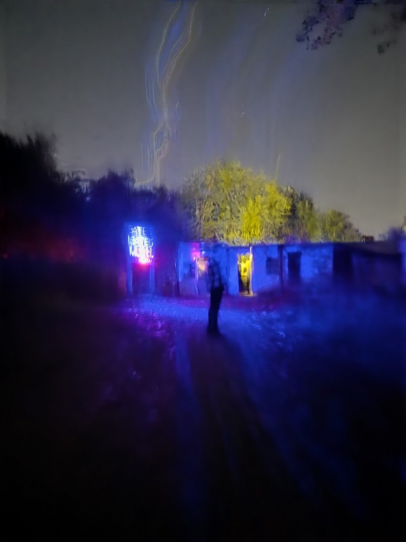 Wickedforestofterror