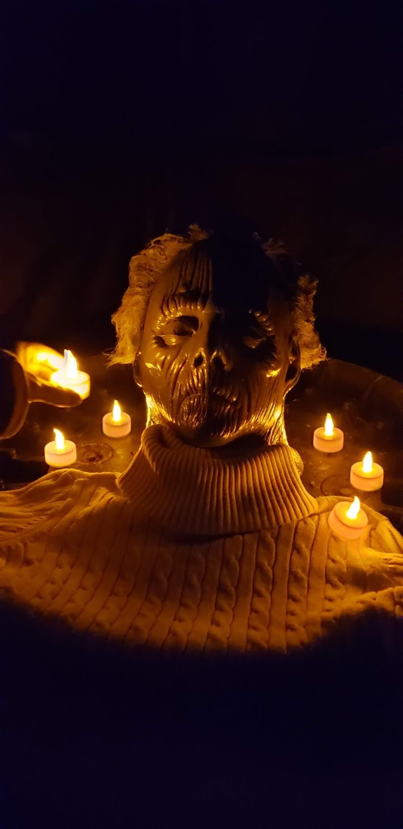 Wickedforestofterror