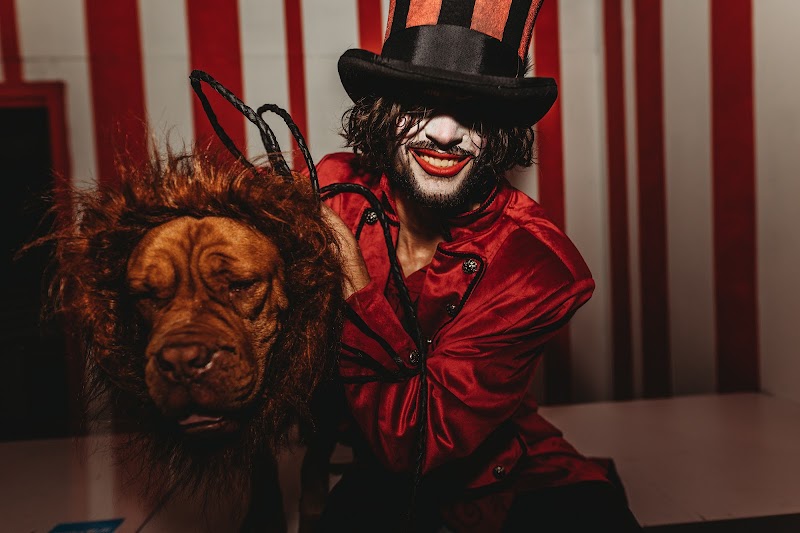 Barnum Circus of Freaks