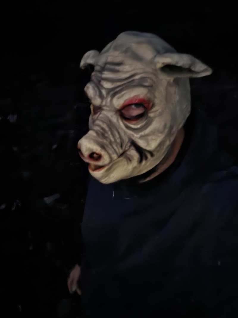 Wicked Woods" - Haunted Houses in Delaware