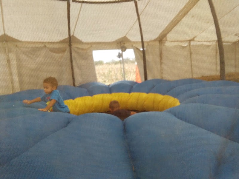 Campbells Maze Daze