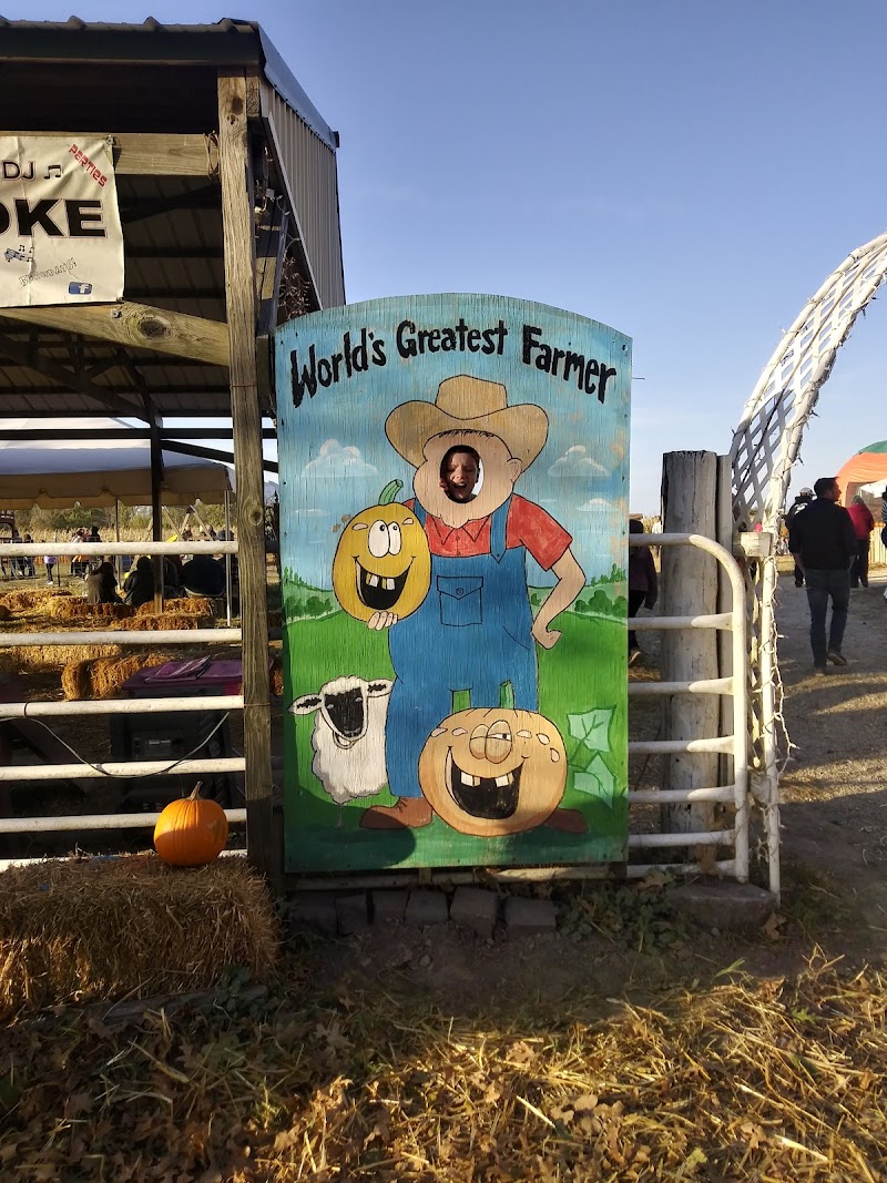 Campbells Maze Daze