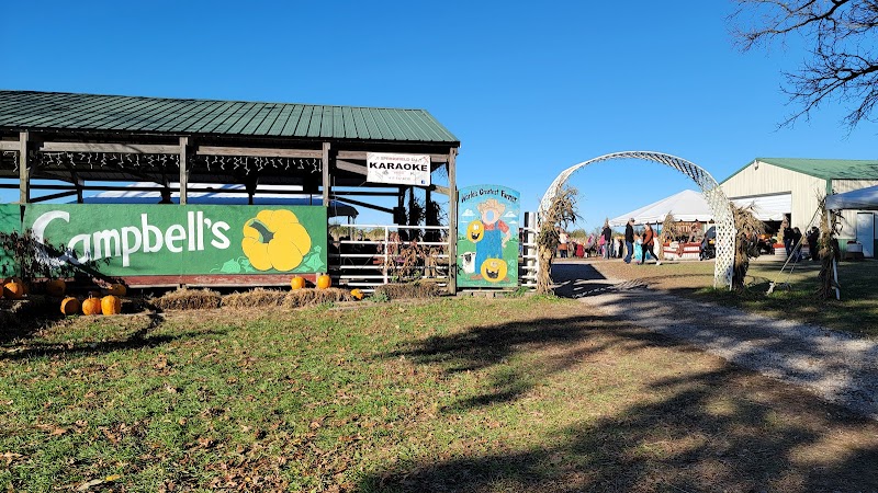 Campbells Maze Daze
