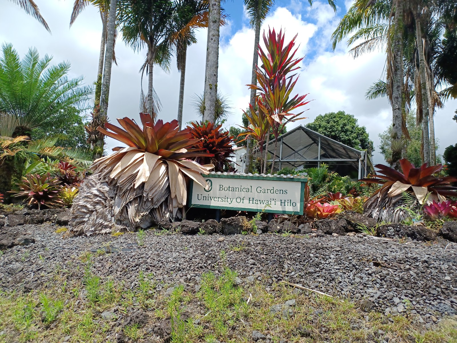 Hilo Haunted House