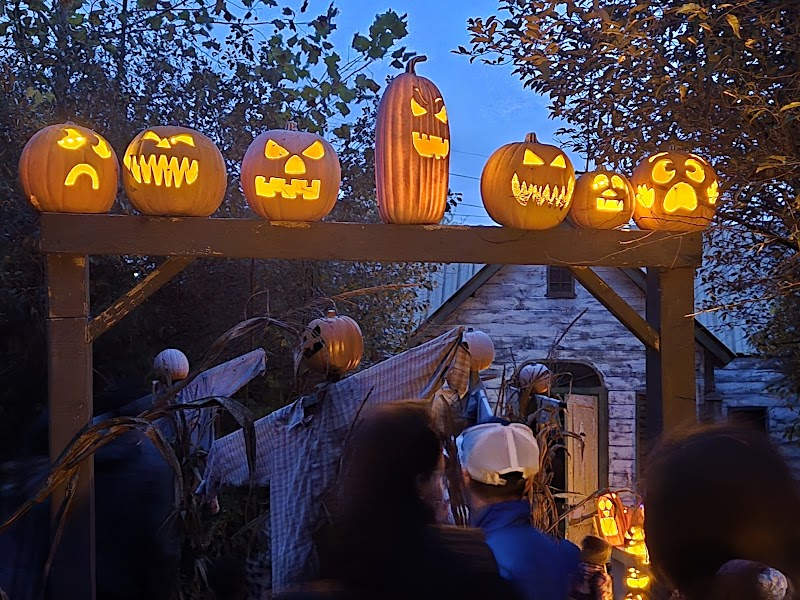 Top Michigan Haunted House Deranged Haunt