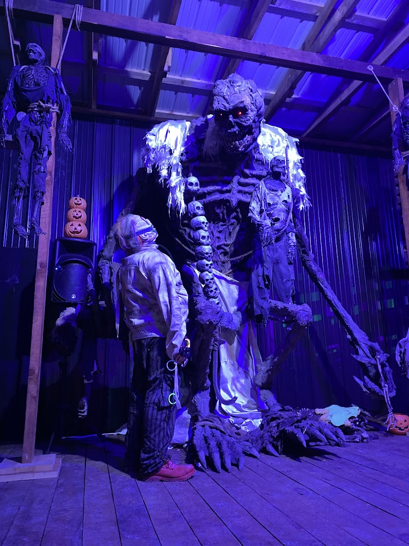 Asylum Run 6396