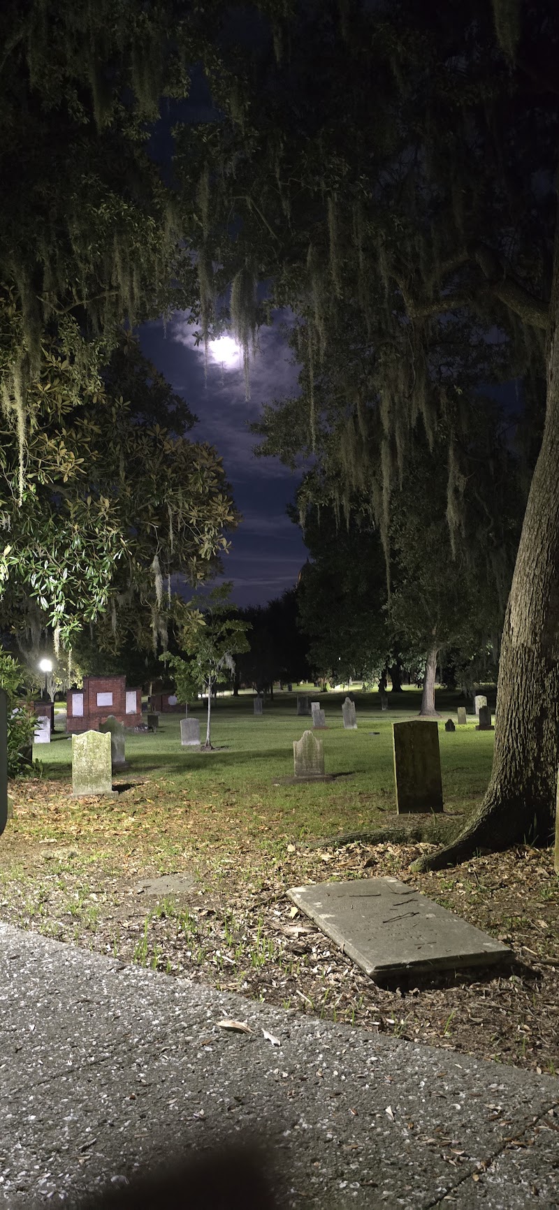 The Ultimate Haunted Savannah Guide
