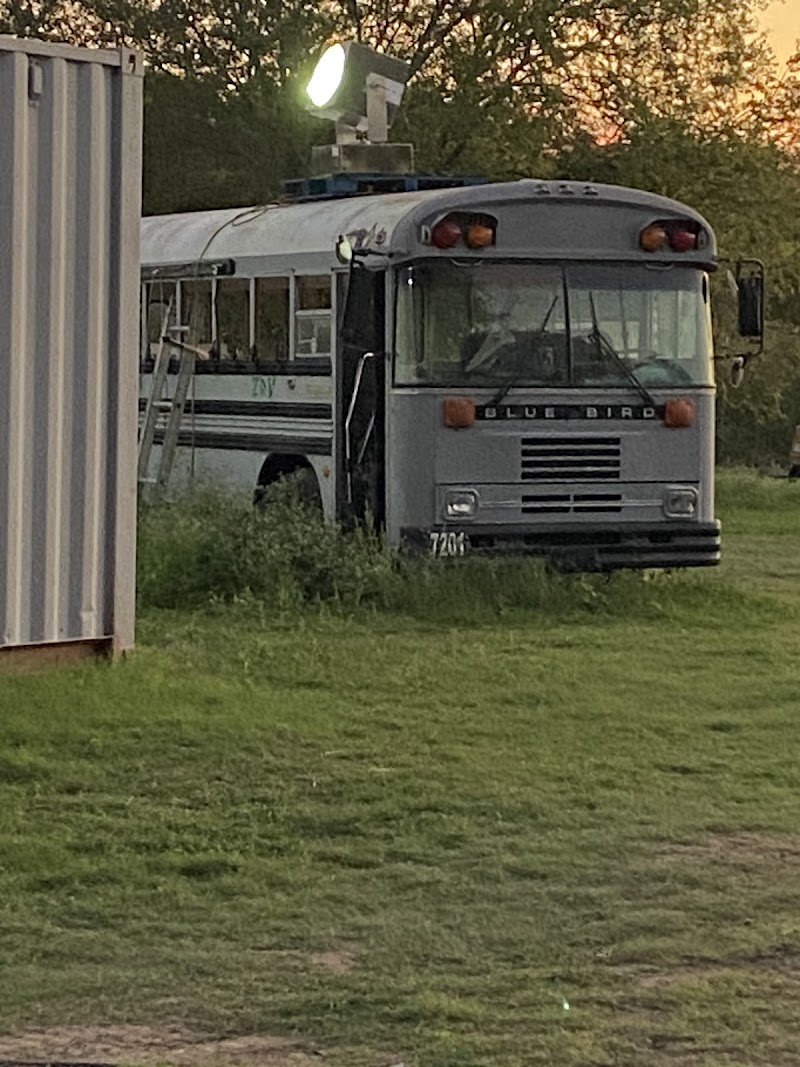 Zombie Safari