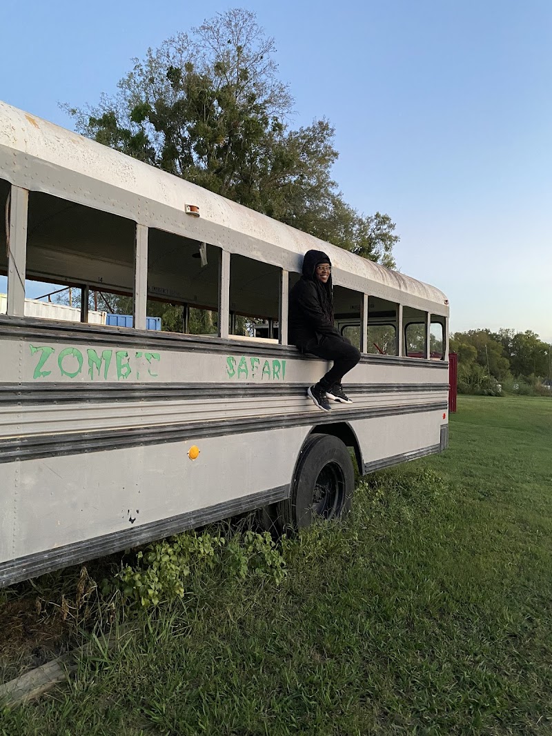 Zombie Safari