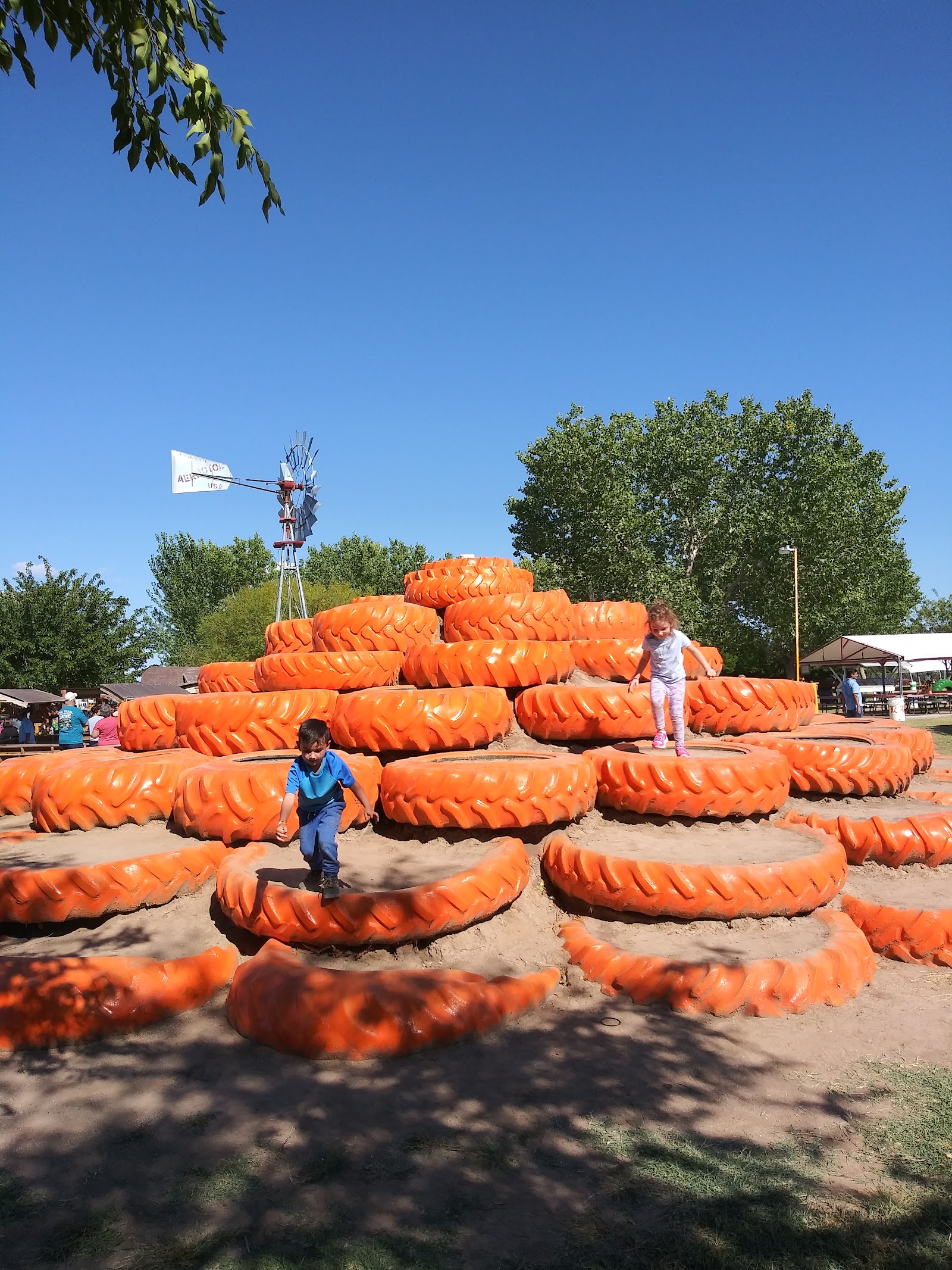 Mesilla Valley Maze Las Cruces, NM Photos & Videos