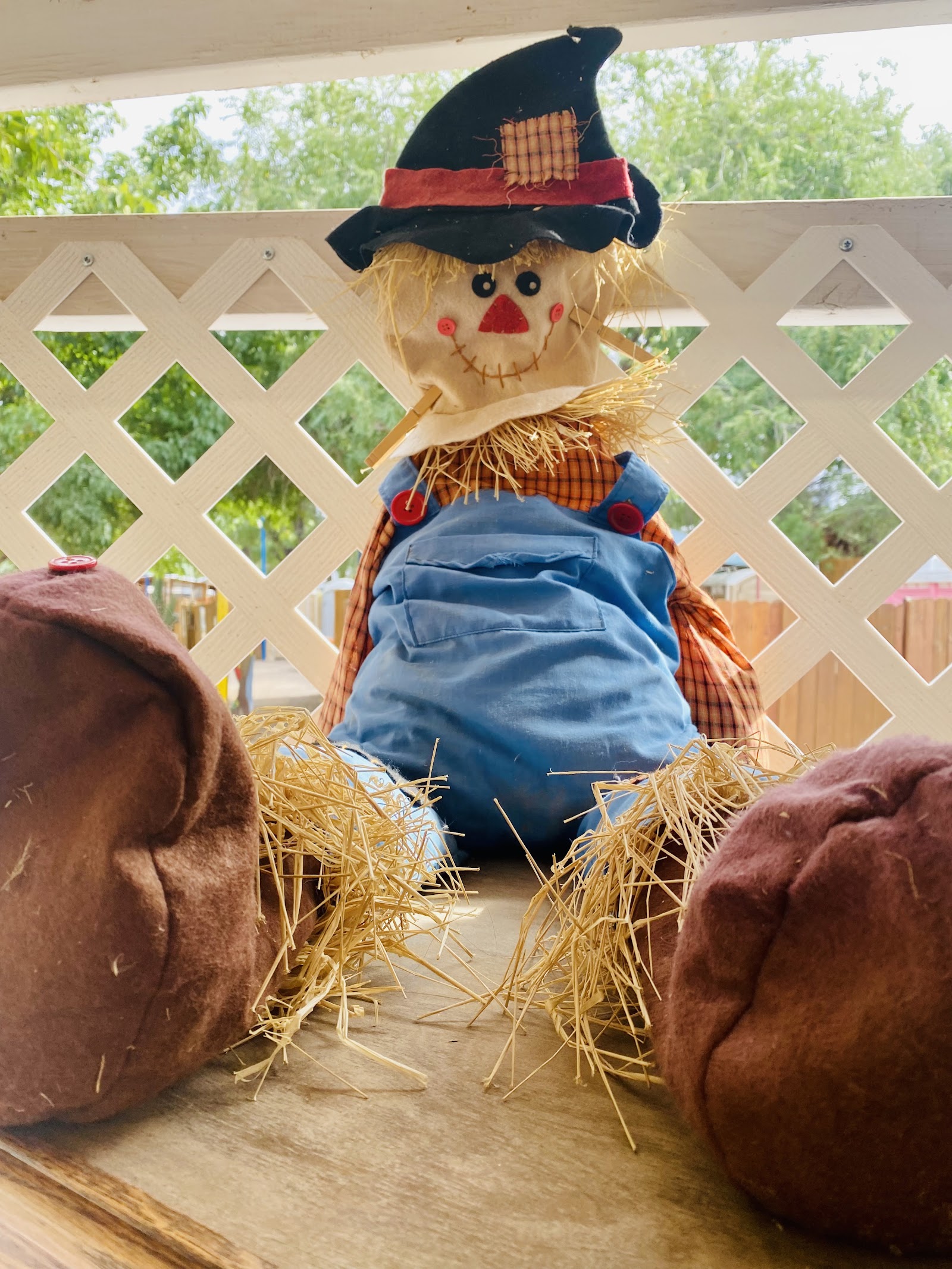 Mesilla Valley Maze Las Cruces, NM Photos & Videos