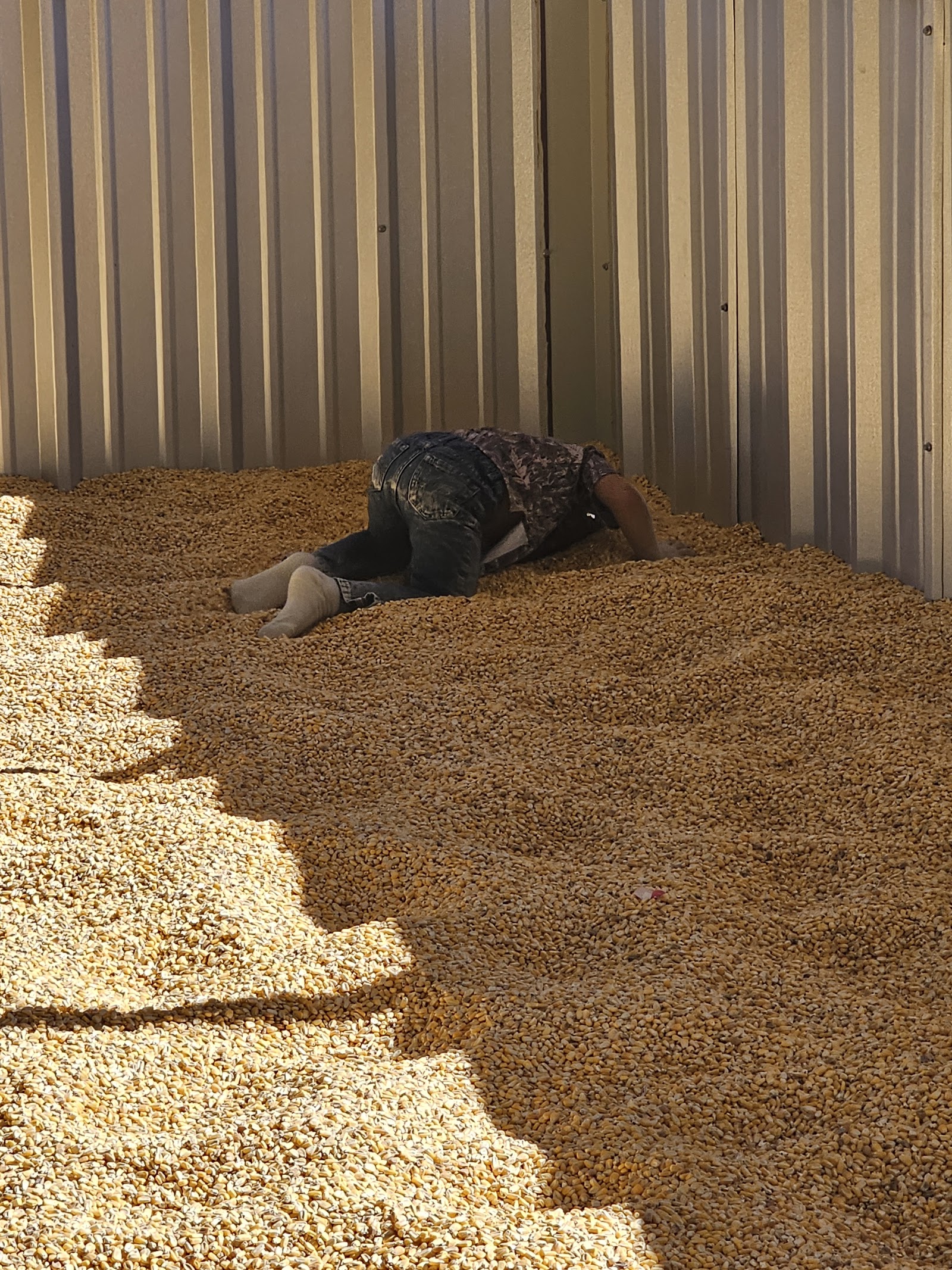Mesilla Valley Maze Las Cruces, NM Photos & Videos