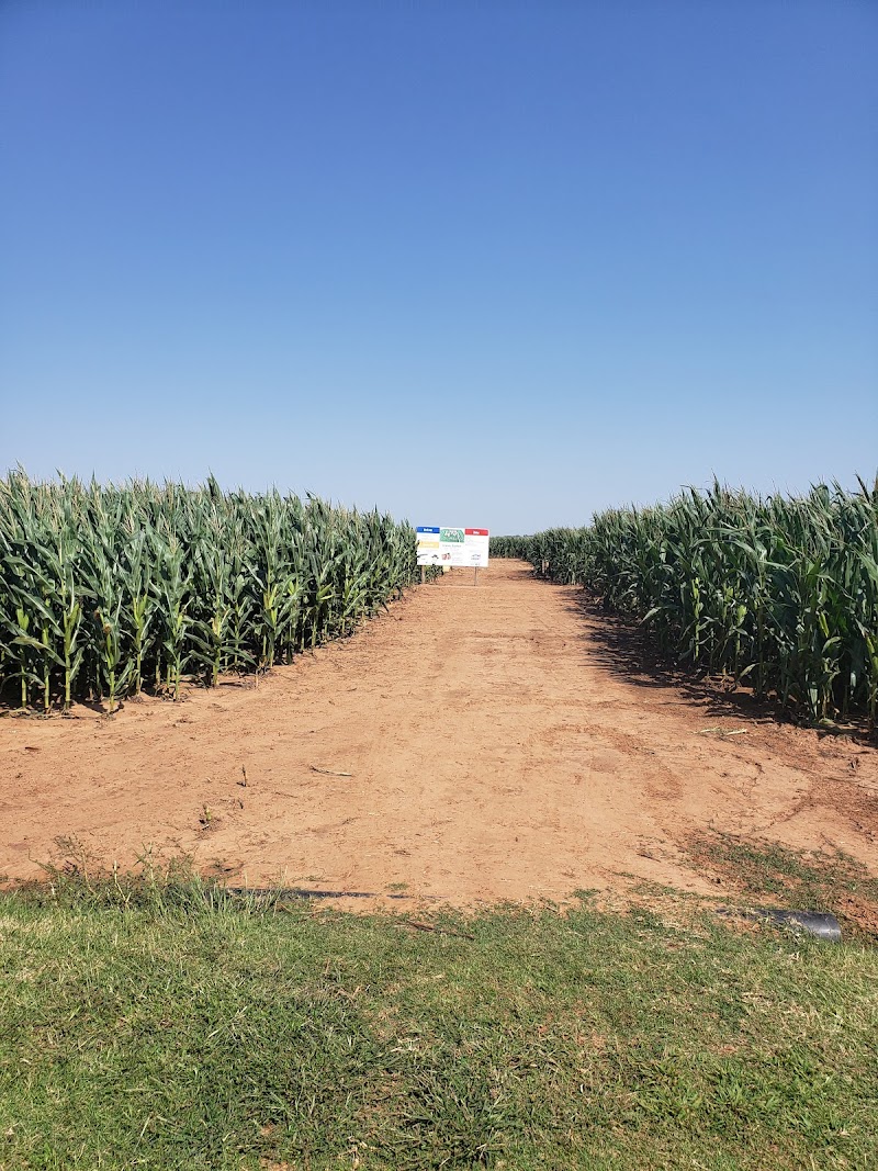 P Bar Farms Haunted Corn Maze - Oklahoma